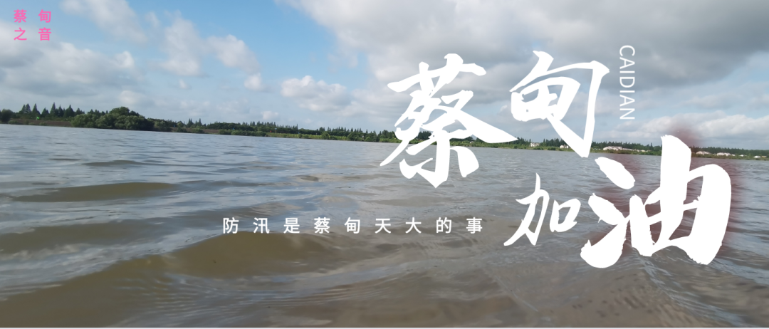 蔡甸區(qū)啟動(dòng)防汛ⅰ級應(yīng)急響應(yīng)，做好鋪土釘防汛木樁工作