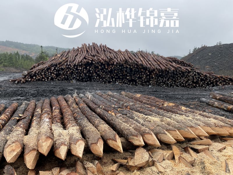 6米長松木樁有哪些作用，多少錢一根？