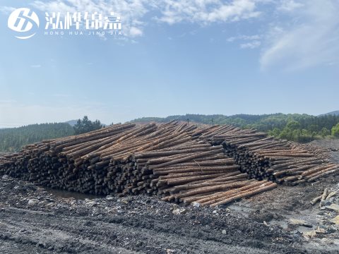 河道打樁為什么選擇松木樁來處理軟地基？-松木樁施工使用范圍