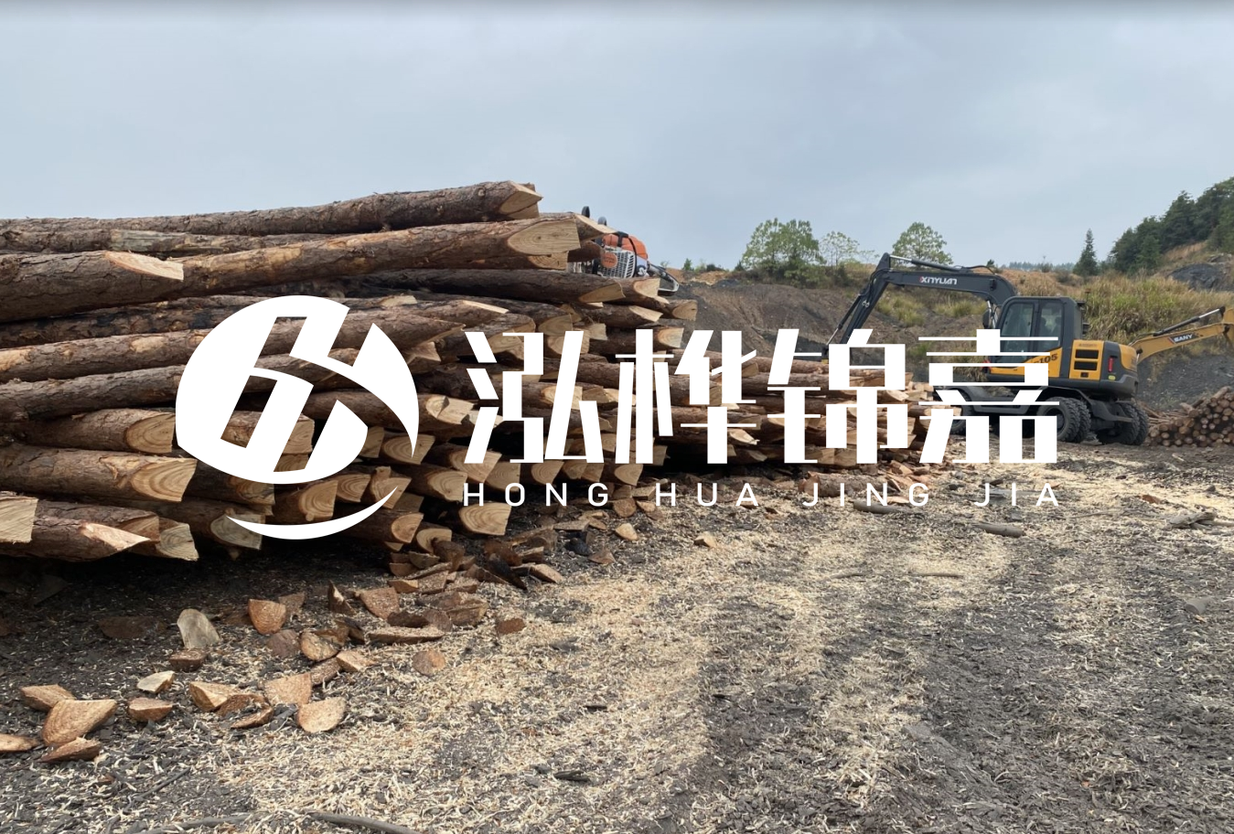 松木樁尾徑是什么意思？