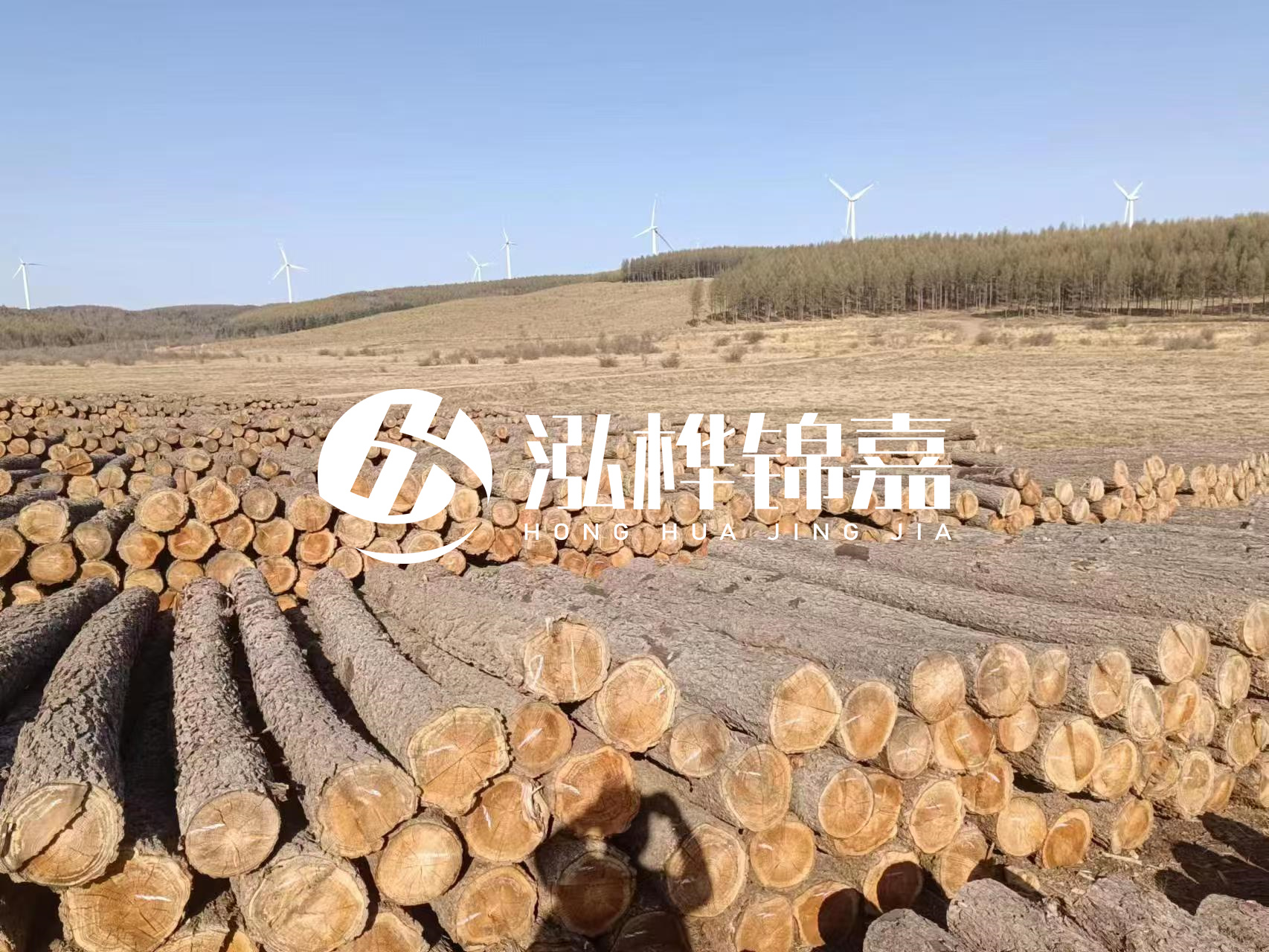 咸寧松木樁源頭廠家-哪里能買到質(zhì)量好的松木樁打樁木？