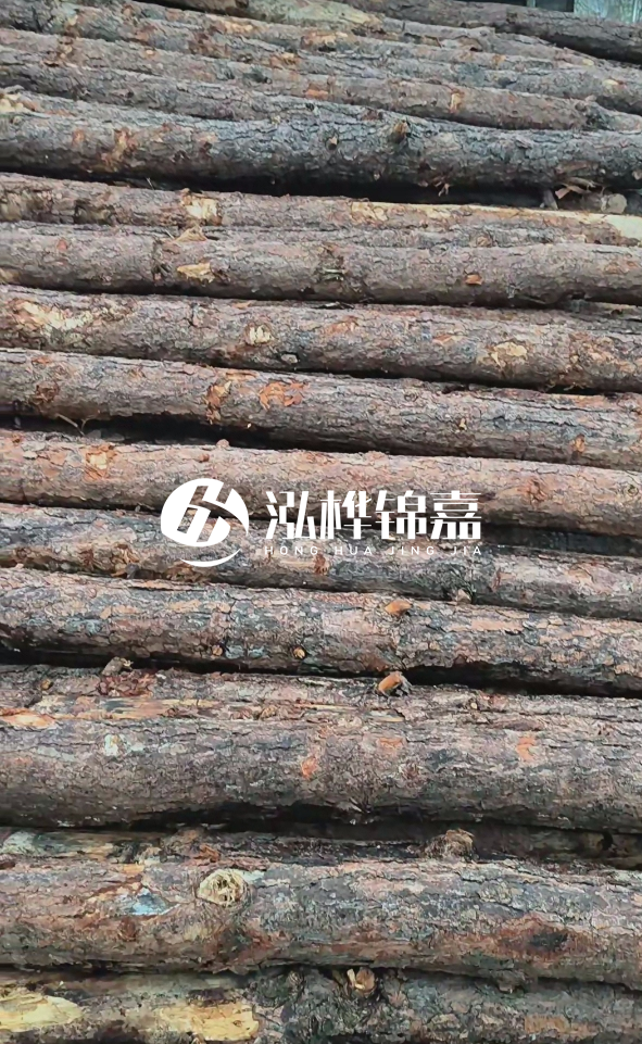 陽(yáng)江松木樁源頭廠家-哪一種打樁木最便宜？