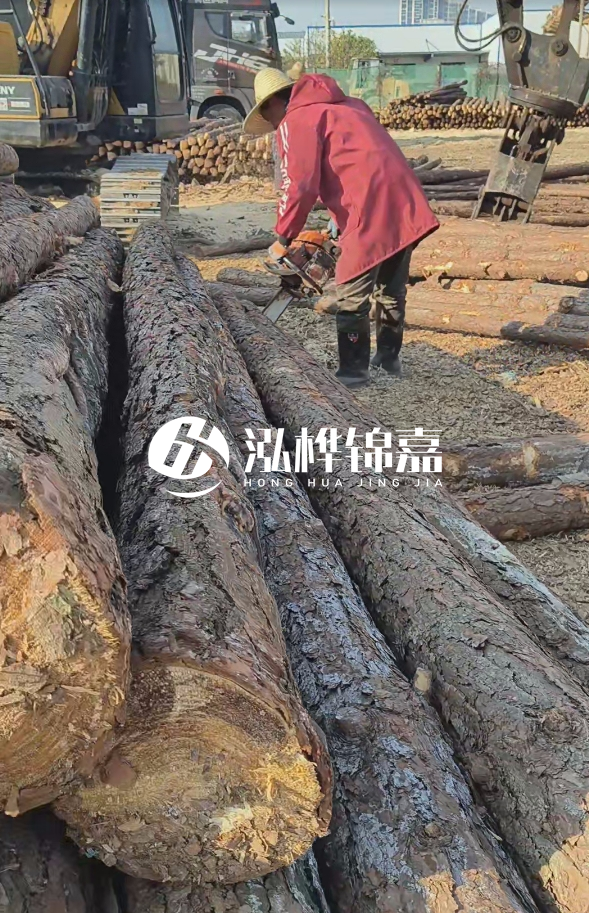 長(zhǎng)沙打樁木批發(fā)廠家在哪里？聯(lián)系方式是什么？
