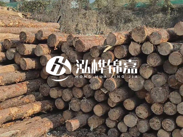 落葉松木材的主要產(chǎn)地在哪里？為什么比其他松木更耐腐蝕？