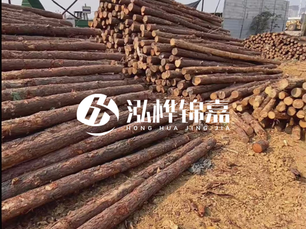 河道木樁施工遇到淤泥怎么辦？打多深才能防沖刷？