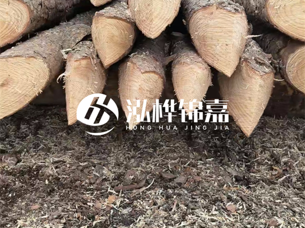 打樁木樁與鋼樁相比有哪些優(yōu)缺點？如何進行后期維護？