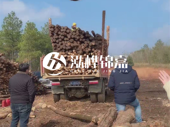 松木樁價格是按米算還是按根算？6米松木樁批發(fā)價每根多少錢？