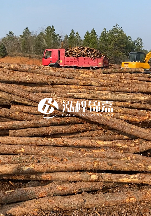 8米小頭11-13CM的松木樁價格是多少？打樁施工怎么算？