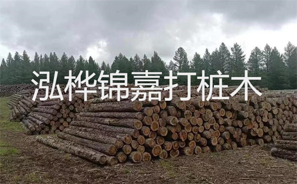 選擇紅磚護(hù)坡，打造獨(dú)特的美麗景觀