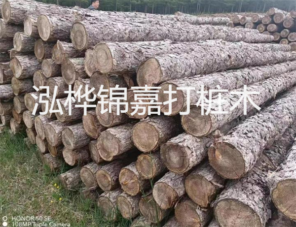 高效修補(bǔ)，保駕護(hù)航！水泥路面高強(qiáng)度修補(bǔ)料為您解決煩惱！