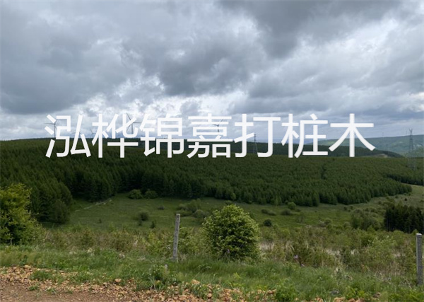 松木樁能重復施工么？