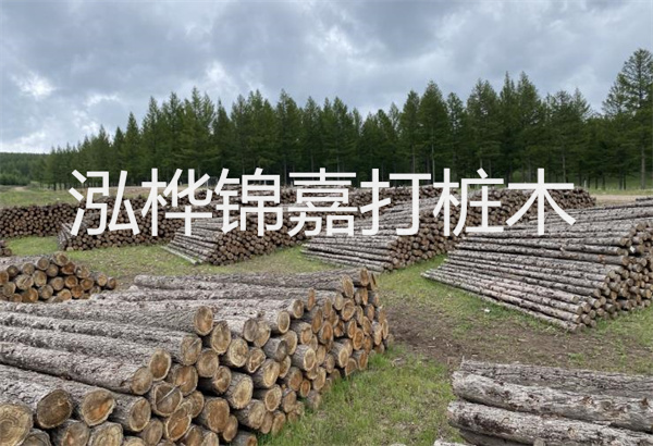 預(yù)制松木樁施工工藝：優(yōu)質(zhì)材料，高效快速，堅固耐用