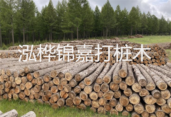 松木樁能施工嗎？探究視頻揭秘真相！
