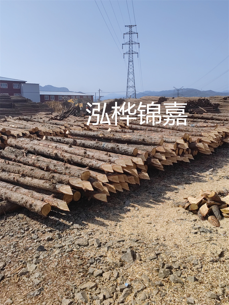 深入了解松木樁基礎施工單價，助力工程建設順利進行！