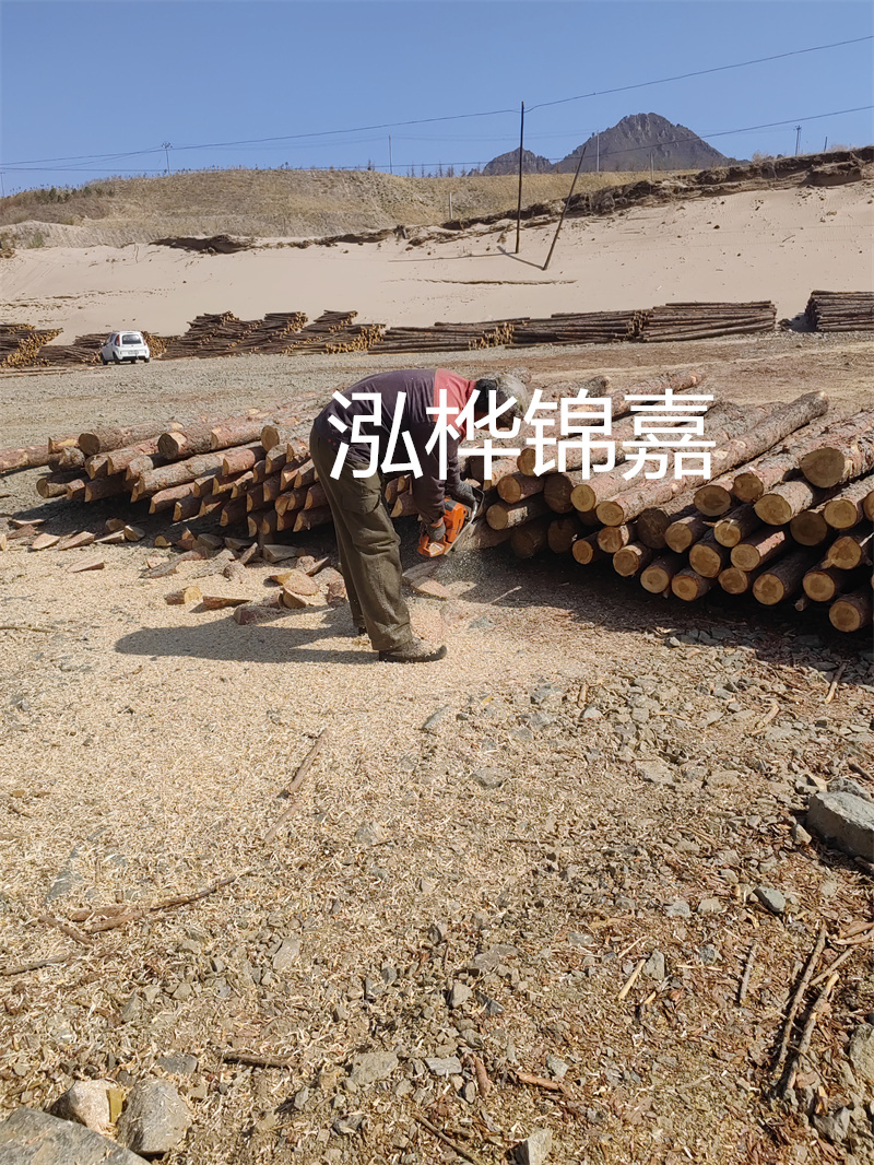 松木樁駁岸施工，打造水上風景線