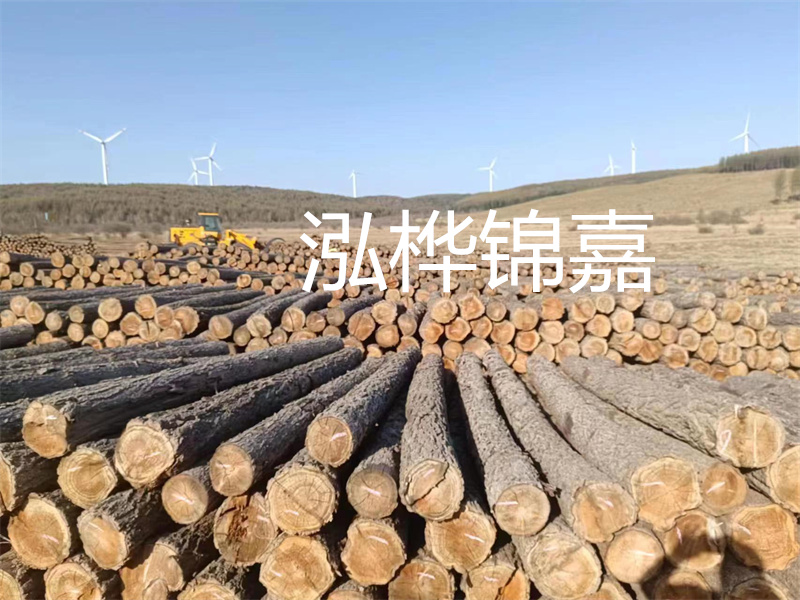 溫州松木樁施工廠家——為您打造堅固穩(wěn)定的建筑基礎(chǔ)！