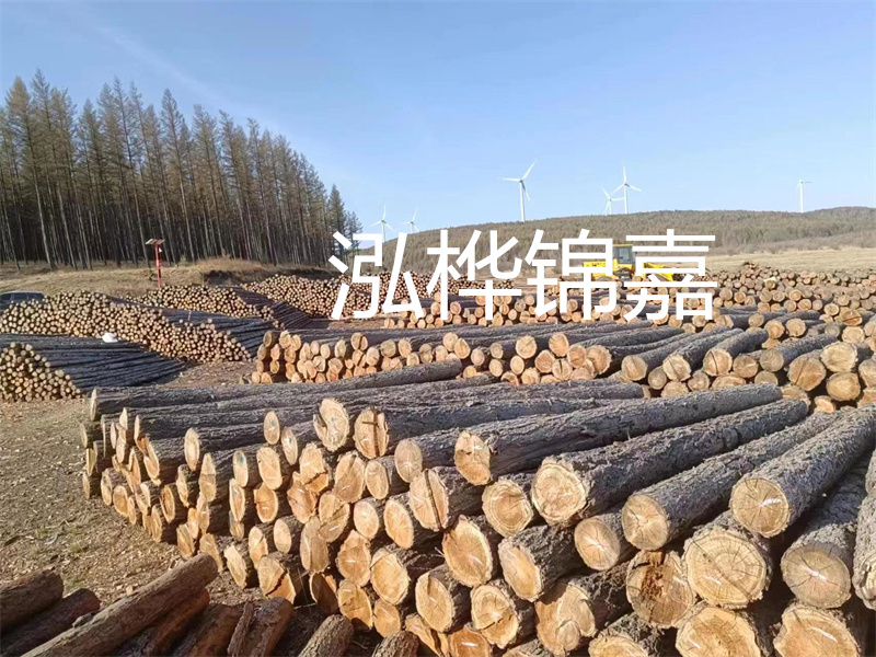 用路基松木樁施工方案提升工程質(zhì)量描述：了解路基松木樁施工方案的重要性，提高工程質(zhì)量關(guān)鍵詞：路基松木樁，施工方案，工程質(zhì)量
