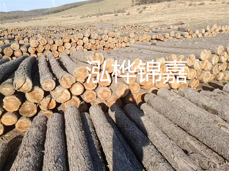 選擇合適的路緣石尺寸，打造美麗道路