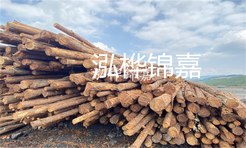 濮陽松木樁，卓越品質(zhì)，安全可靠